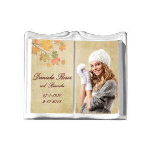 PLACCA A TERRENO PIAVE