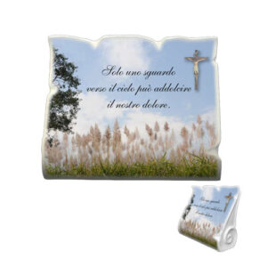 PLACCA TERRENO EXTREME