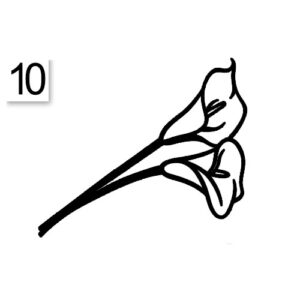 Decoro 10