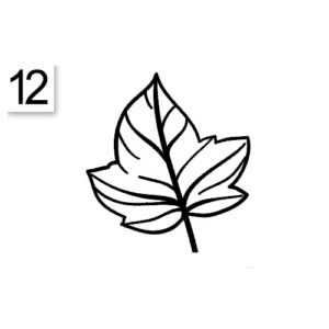 Decoro 12