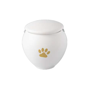 PET LESSIE PORCELLANA 01 - 10x11