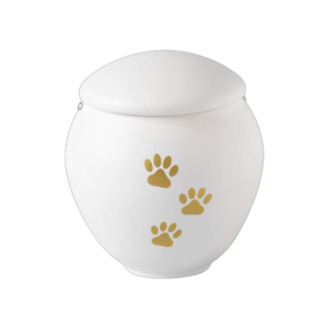 PET LESSIE PORCELLANA 03 - 15x18