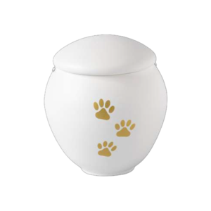 PET LESSIE PORCELLANA 02 - 12x13