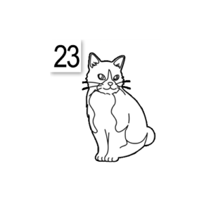 Decoro 23