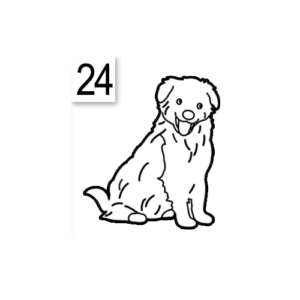Decoro 24