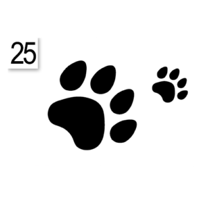 Decoro 25