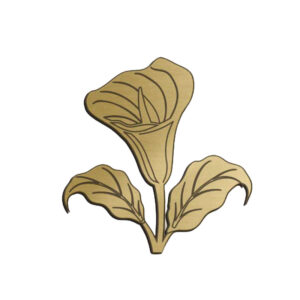 Illustrazione 14