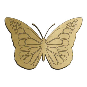 Illustrazione 8
